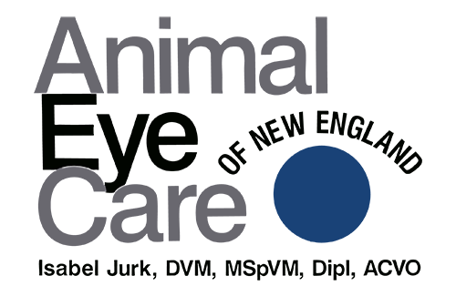 Animal Eye Care of New England