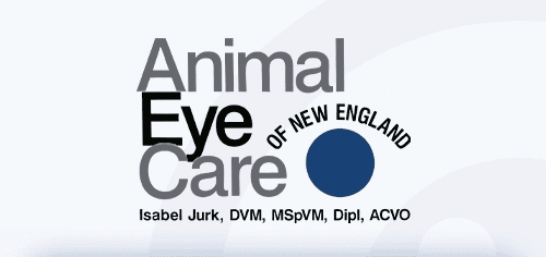 Animal Eye Care of New England